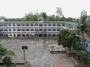 393.jpg