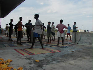 yoga.jpg